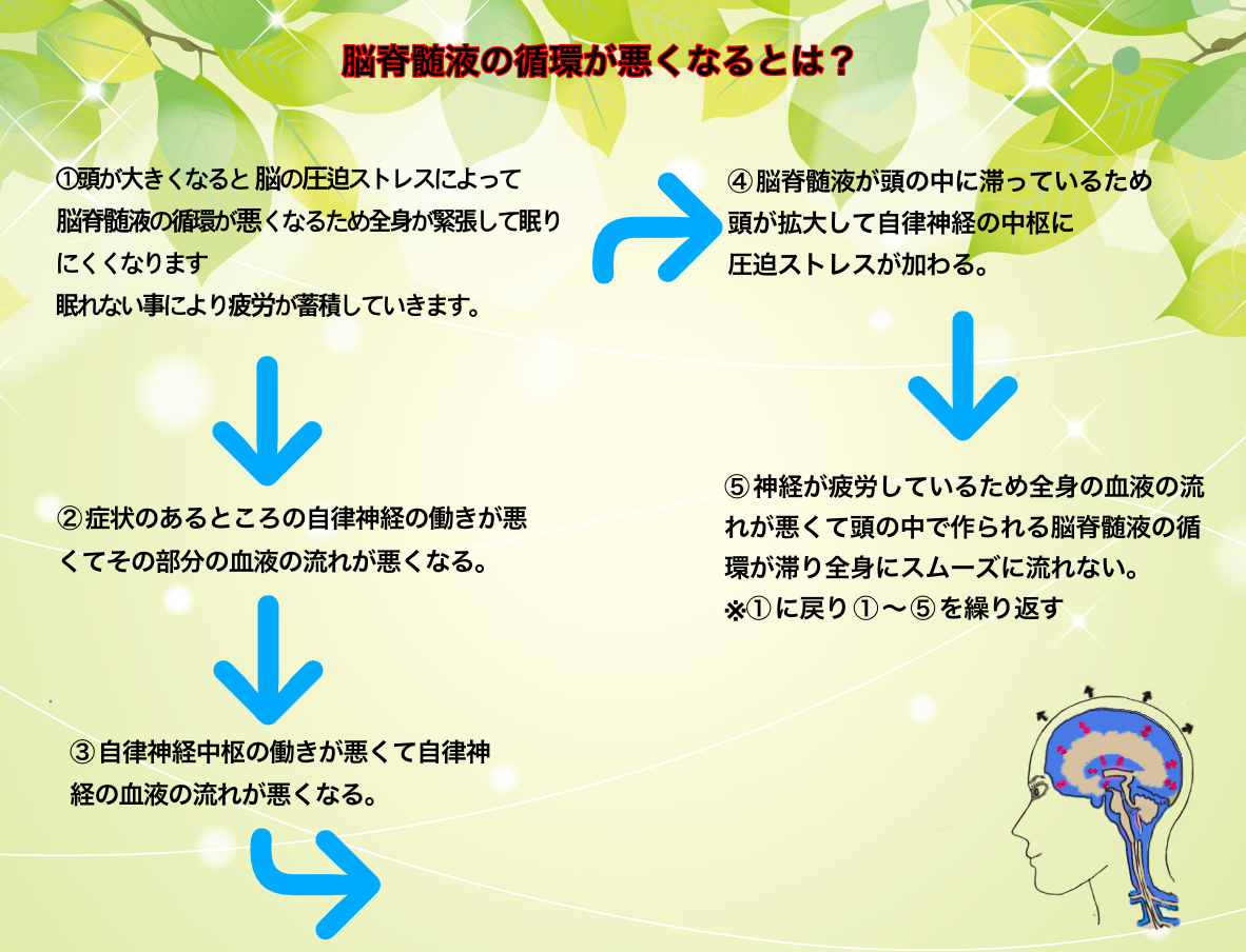 脳脊髄液調整法（CSFプラクティス） | さんさん整骨院 阪急神戸線 神崎